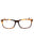 053 - Shiny Havana / Clear Lens