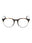 056 - Havana/other / Clear Lens