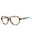 09AJ - SHINY BROWN HAVANA