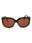 20355 - Havana Havana Brown
