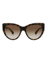 20355 - Havana Havana Brown