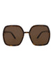 20355 - Havana Havana Brown