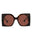 20355 - Havana Havana Brown