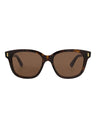 20355 - Havana Havana Brown