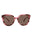20355 - Havana Havana Brown