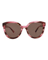 20355 - Havana Havana Brown