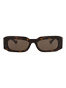 20355 - Havana Havana Brown
