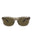 20355 - Havana Havana Brown
