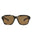 20355 - Havana Havana Brown