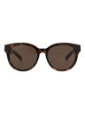 20355 - Havana Havana Brown