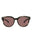 20355 - Havana Havana Brown