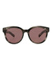 20355 - Havana Havana Brown