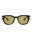 20355 - Havana Havana Brown