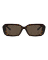 20355 - Havana Havana Brown