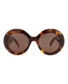 20355 - Havana Havana Brown