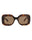 20355 - Havana Havana Brown