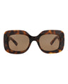 20355 - Havana Havana Brown
