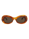 20355 - Havana Havana Brown