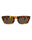 20355 - Havana Havana Brown
