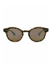 21137 - Tortoise Tortoise Bronze