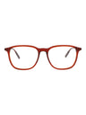 60064 - Burgundy Burgundy Transparent
