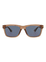 21209 - Brown Brown Blue