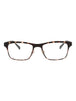 21125 - Tortoise Tortoise Transparent
