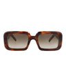 20355 - Havana Havana Brown