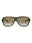 20355 - Havana Havana Brown