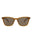 20009 - Brown Brown Brown