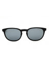 02C - matte black / smoke mirror