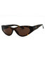 002 - Tortoise/Brown
