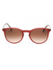 401813 - Transparent Burgundy/Brown Gradient