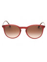 401813 - Transparent Burgundy/Brown Gradient