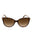 300213 - Havana / Brown Gradient