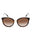 300213 - Dark Havana / Brown Gradient