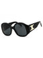 01A - shiny black  / smoke