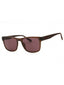 201 - CRYSTAL BRAZIL NUT/Brown