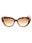 006 - Light Dark Turtle / Brown gradient