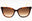 215 - TORTOISE/Brown Gradient
