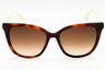 215 - TORTOISE/Brown Gradient