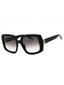 0700 - SHINY BLACK / SMOKE GRADIENT