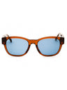 45V - shiny light brown / blue