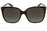 003 - AVANA-AVANA-BROWN