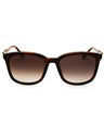 002 - Shiny brown