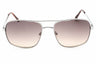 10F - shiny light nickeltin / gradient brown