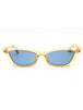 41V - yellow/other / blue