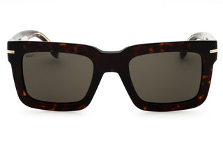 Hugo Boss BOSS 1501/S Sunglasses