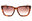 0WR9 HA - BROWN HAVANA/BROWN SF