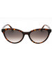 0086 HA - HVN/BROWN SF